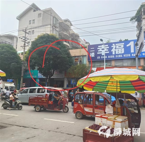 商貿城門面出租