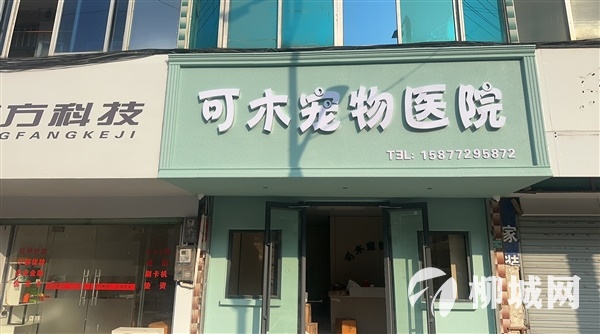 可木寵物醫院試營業啦！1月20日-1月27日全場商品8折